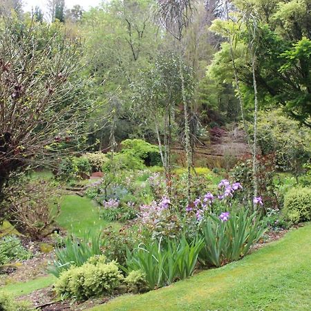 テクイティ Aramatai Gardens Bed & Breakfast エクステリア 写真
